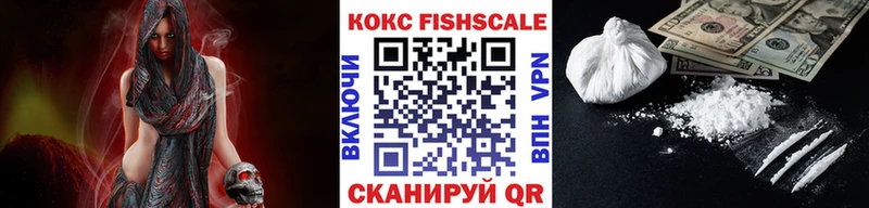 Купить закладки  Городовиковск  COCAIN 97% 