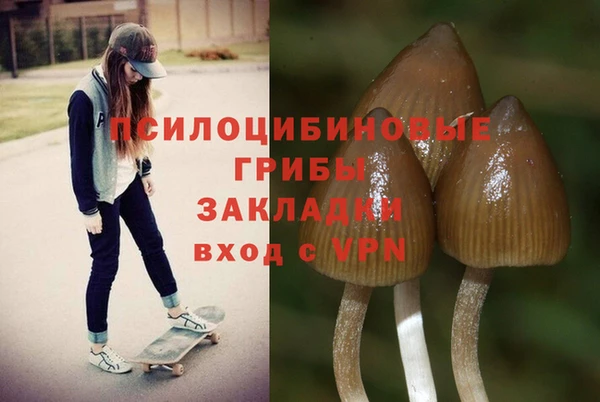 молекула духа Карталы