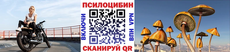 Купить где  Городовиковск  Галлюциногенные грибы GOLDEN TEACHER 